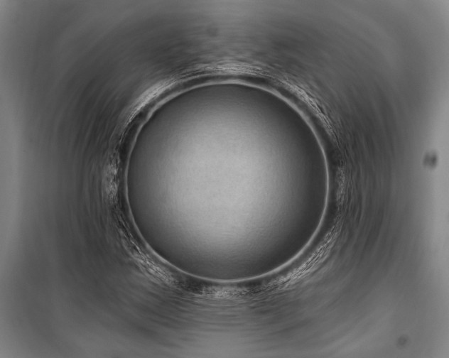 X0000101211163200806271407