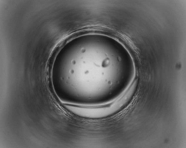 X0000101211164200806271407