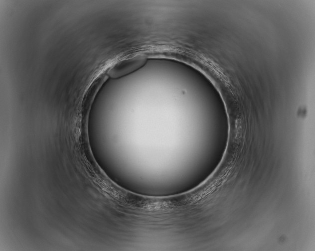 X0000101211165200806271407