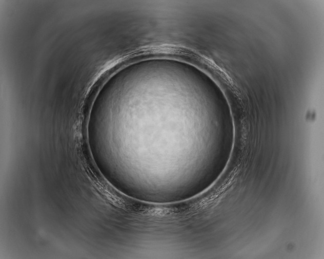 X0000101211166200806271407