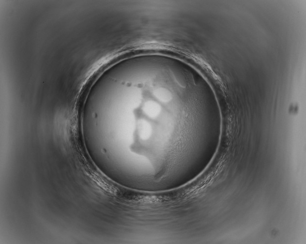 X0000101211167200806271407