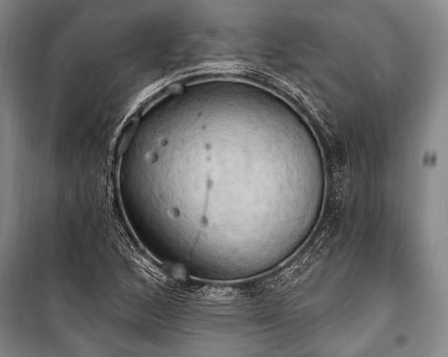 X0000101211168200806271407