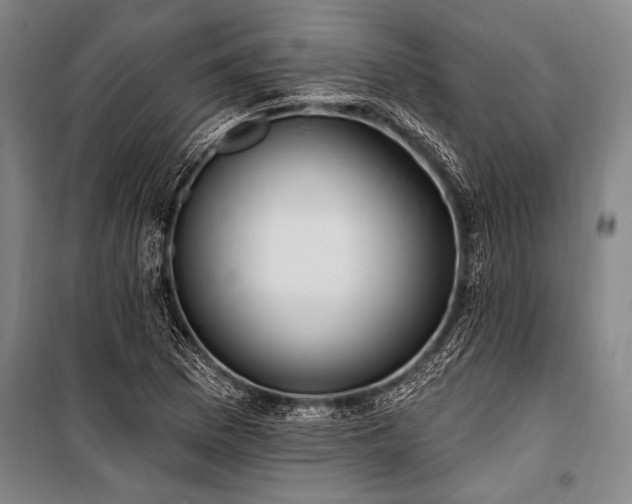 X0000101211169200806271407