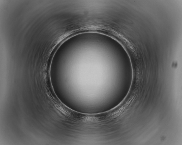 X0000101211170200806271407