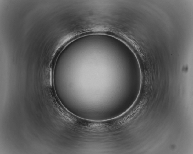 X0000101211171200806271407