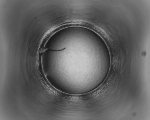 X0000101211172200806271407
