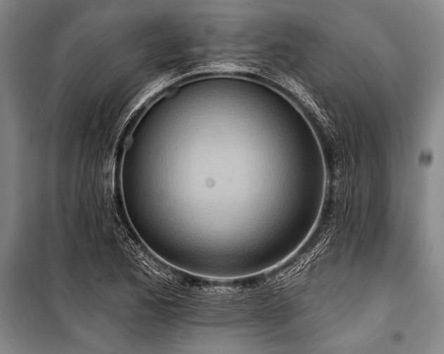 X0000101211173200806271407
