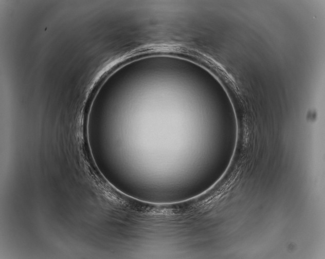 X0000101211174200806271407