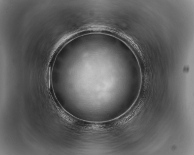 X0000101211175200806271407