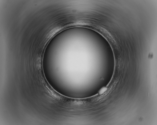 X0000101211177200806271407