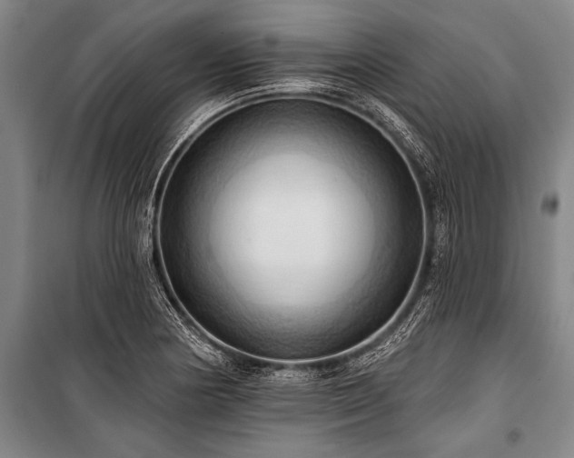 X0000101211178200806271407