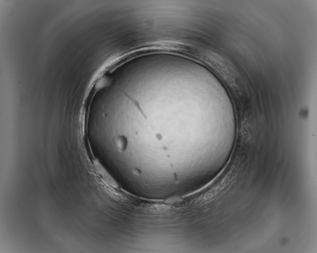 X0000101211180200806271407