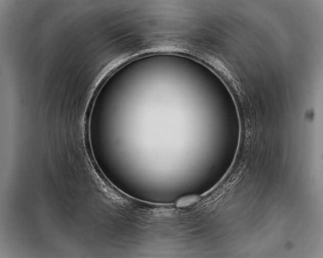 X0000101211181200806271407