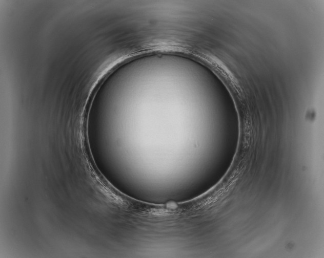 X0000101211182200806271407