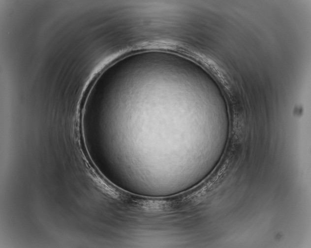 X0000101211184200806271407