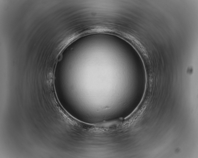 X0000101211185200806271407