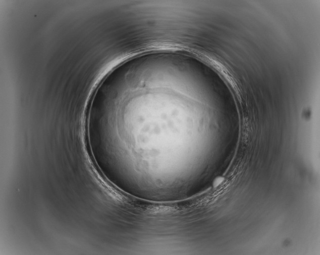 X0000101211187200806271407