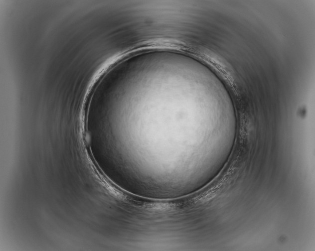 X0000101211188200806271407
