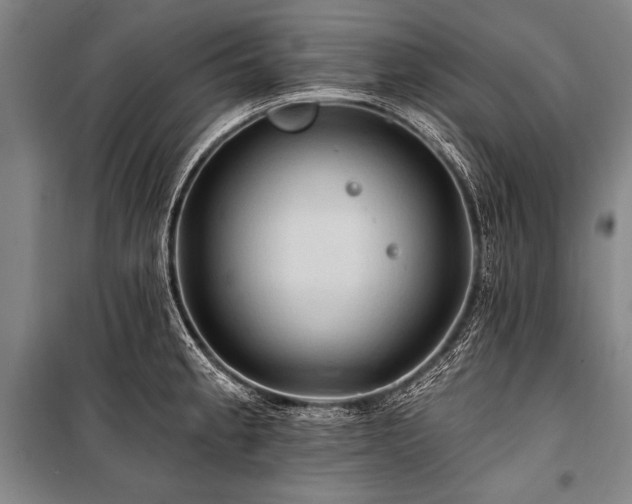 X0000101211189200806271407