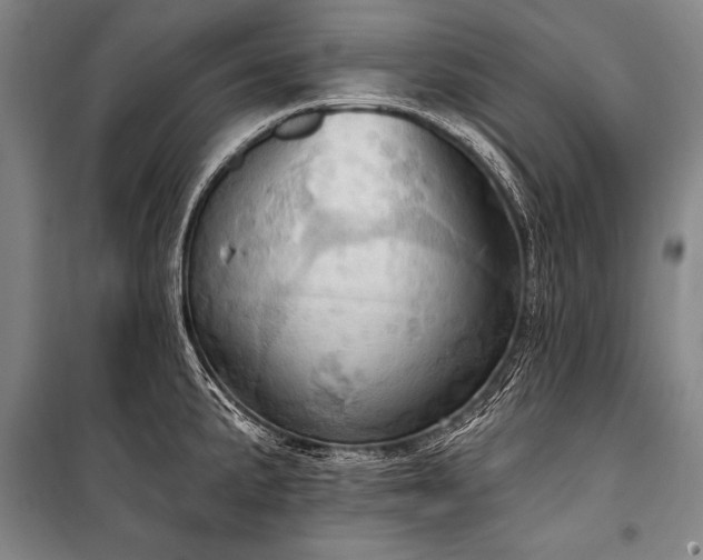 X0000101211191200806271407