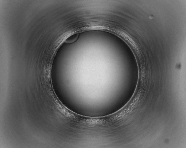 X0000101211193200806271407