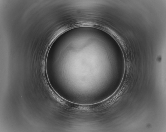 X0000101211194200806271407