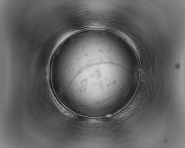 X0000101211195200806271407