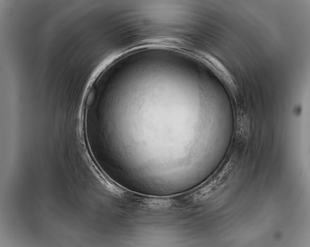 X0000101211196200806271407