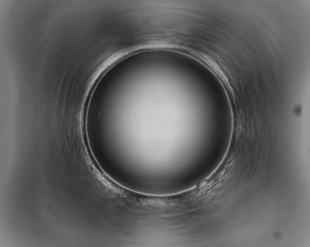 X0000101211197200806271407