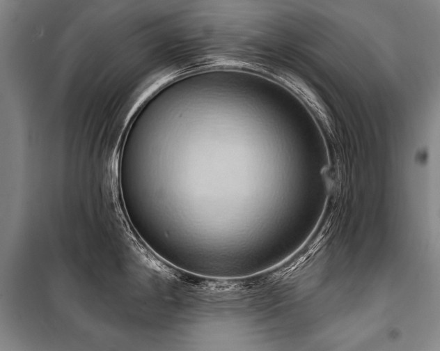 X0000101211198200806271407