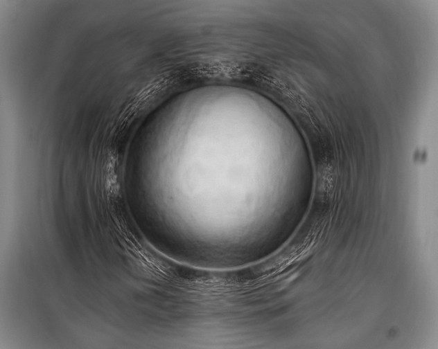 X0000101211202200806271406