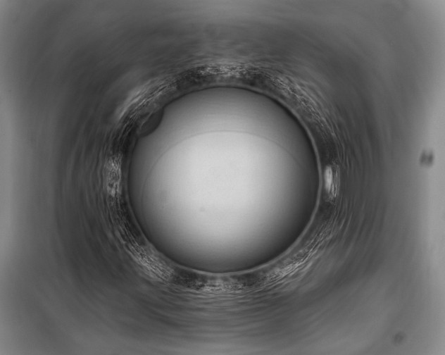 X0000101211203200806271406
