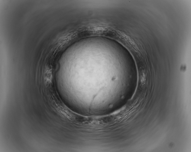 X0000101211204200806271406