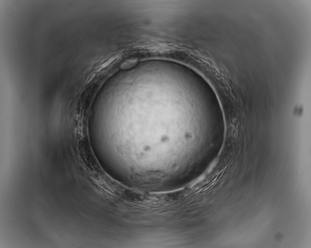 X0000101211205200806271406
