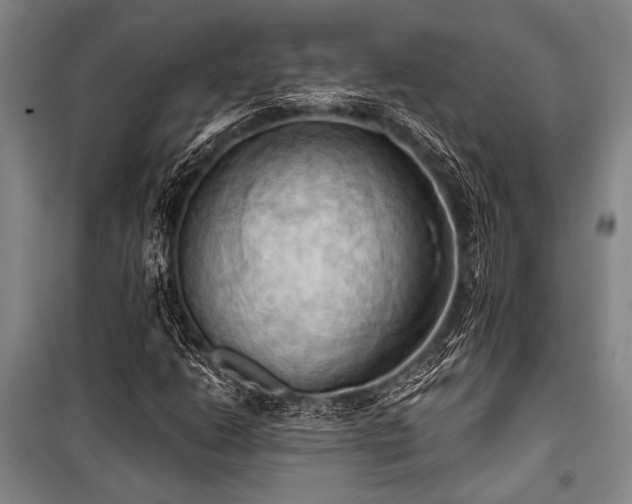 X0000101211206200806271406