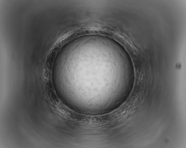 X0000101211207200806271406