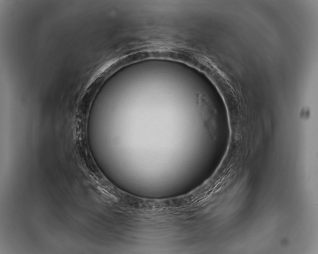X0000101211208200806271406