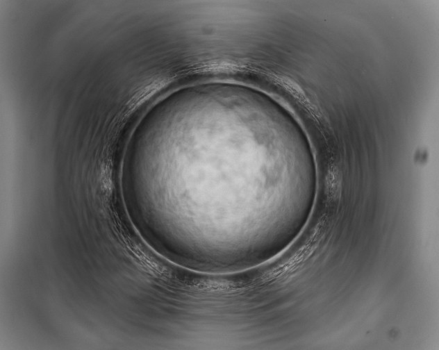 X0000101211209200806271406