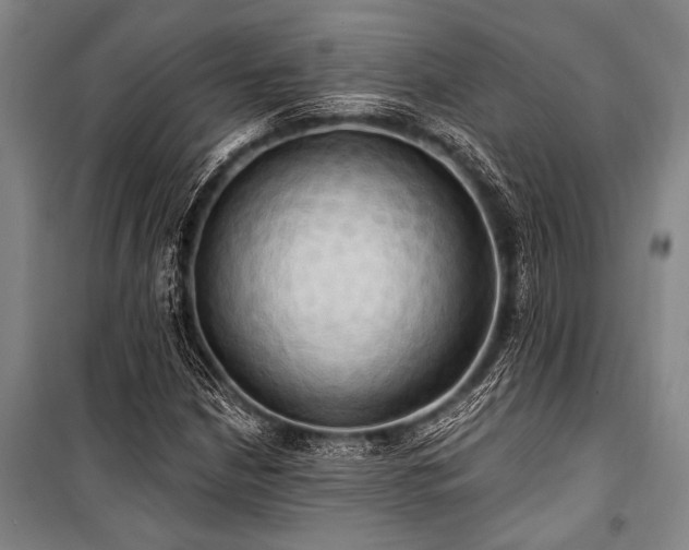 X0000101211210200806271406
