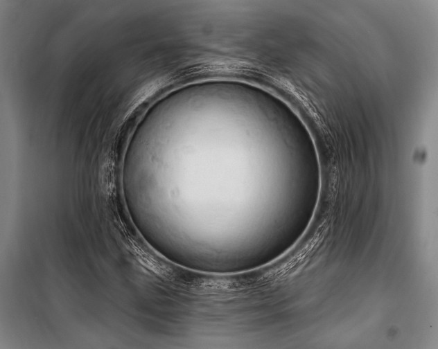 X0000101211211200806271406