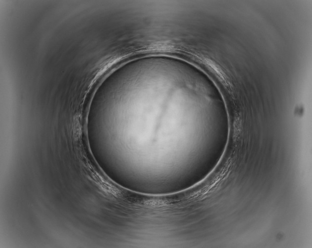 X0000101211212200806271406