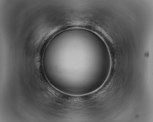 X0000101211213200806271406