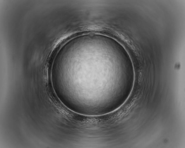 X0000101211214200806271406