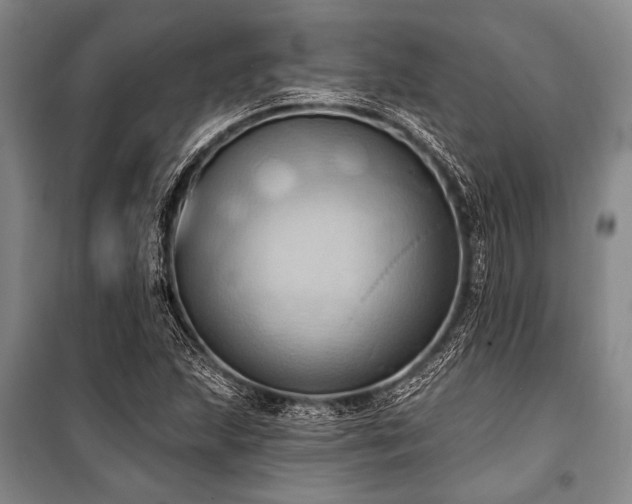 X0000101211215200806271406
