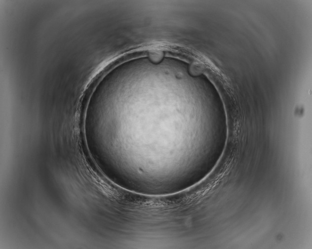X0000101211216200806271406