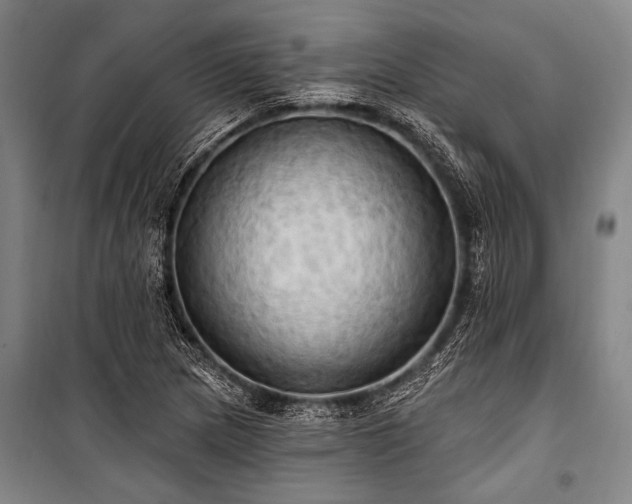 X0000101211217200806271406