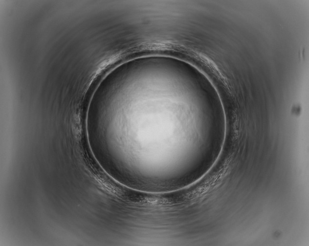 X0000101211218200806271406