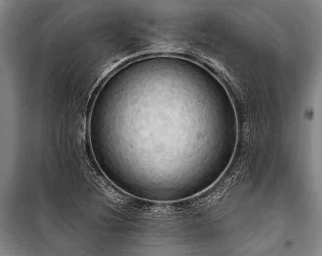 X0000101211220200806271406