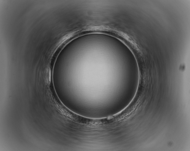 X0000101211221200806271406