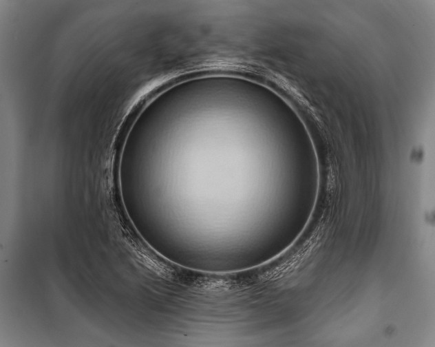 X0000101211222200806271406